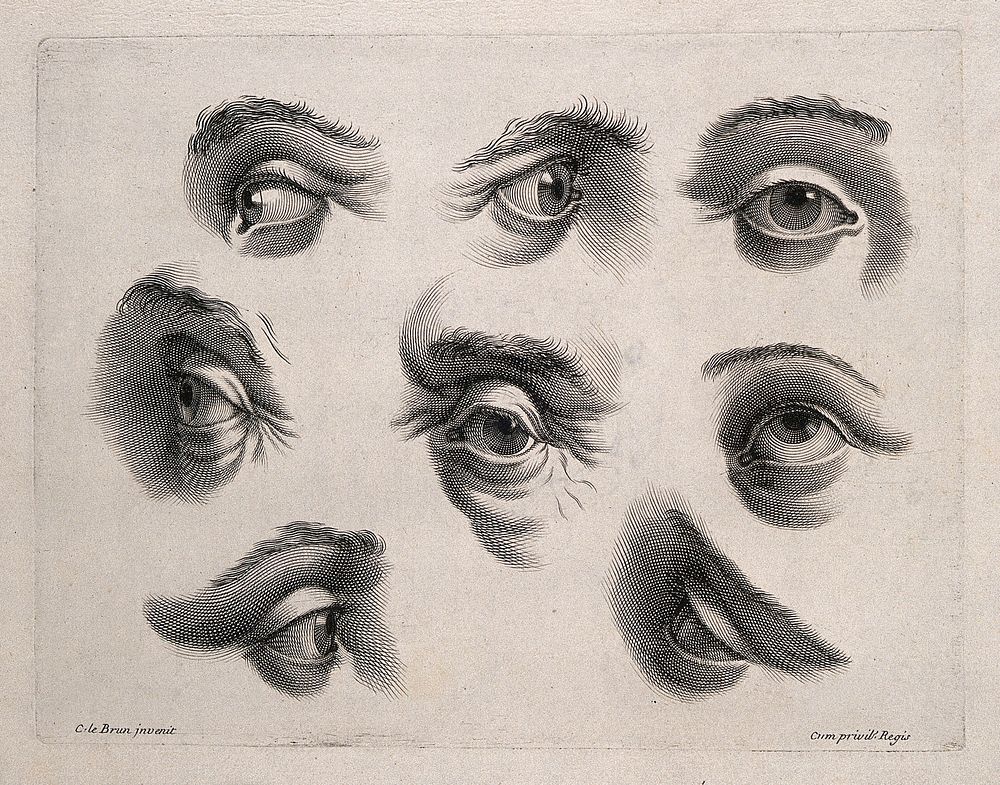 Eight eyes. Engraving after C. Le Brun.