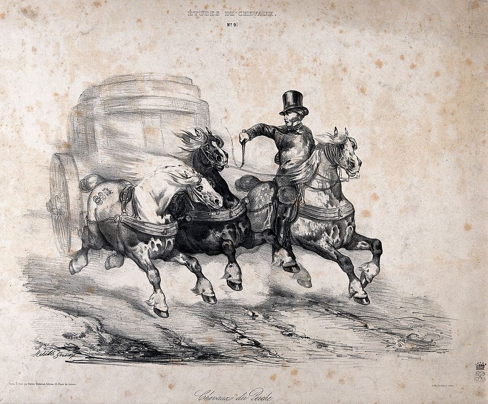 A well-dressed man on horseback gallops alongside two horses drawing a coach, raising his whip. Lithograph attributed to A.…