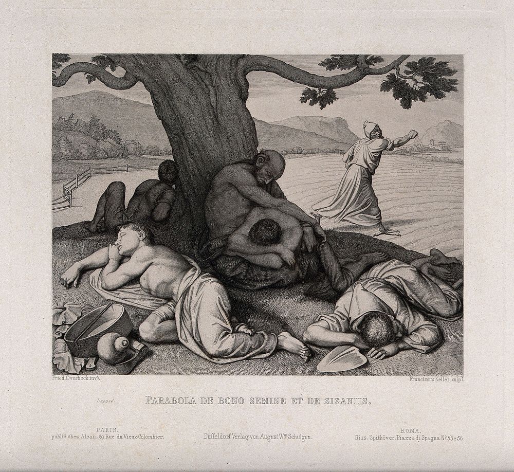 Men lie sleeping under a tree; one sows seeds; representing the biblical parable of the sower. Etching by F. Keller after…
