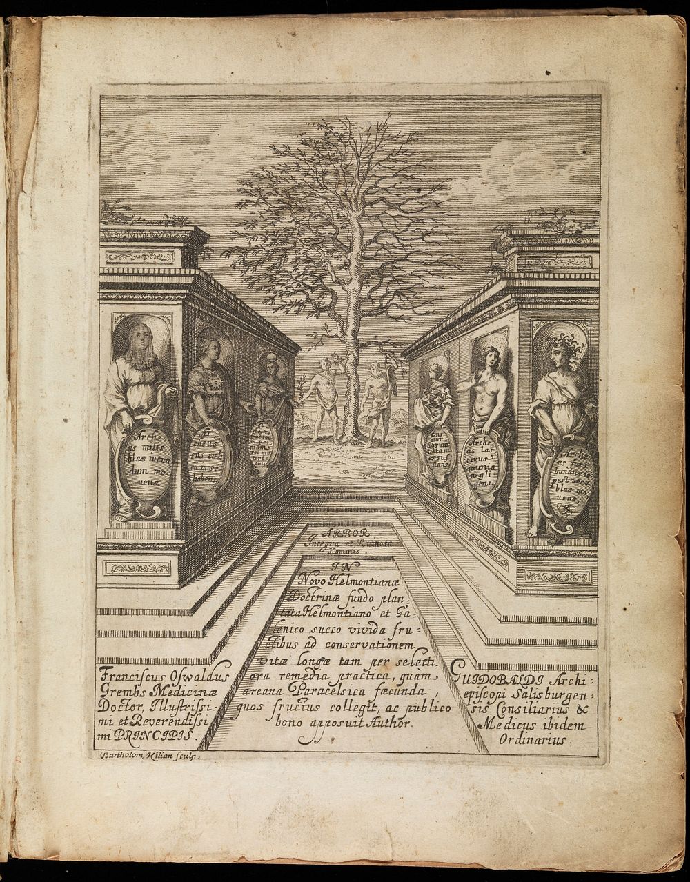 Arbor integra et ruinosa hominis, id est: tractatus medicus theorico practicus in tres libros divisus; in quo sana et…