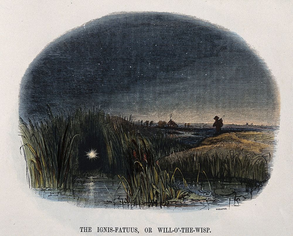 Geography: a mirage in a marsh. Coloured wood engraving by C. Whymper.