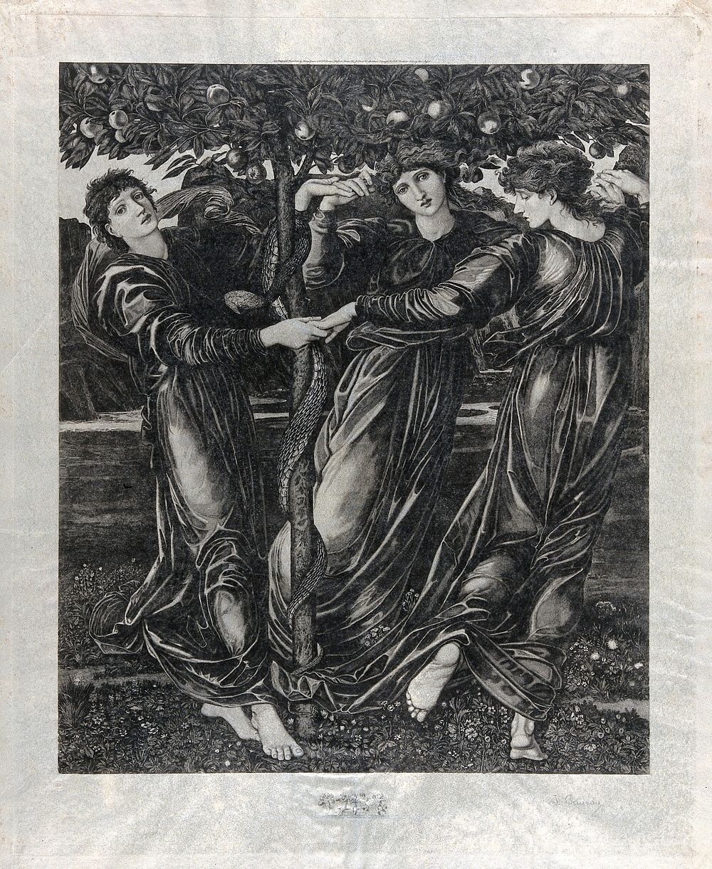 Three goddesses dance around the Tree of Knowledge. Engraving by J. Payrau, 1901, after E. Burne-Jones.
