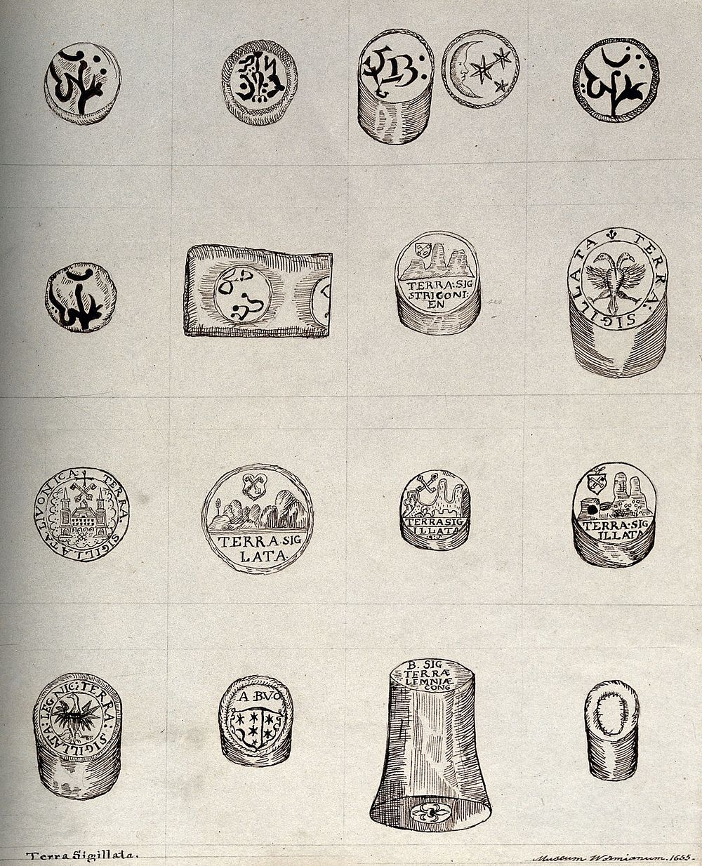 Seventeen different pieces of sealed, precious medicinal earth known as 'terra sigillata'. Pen drawing.