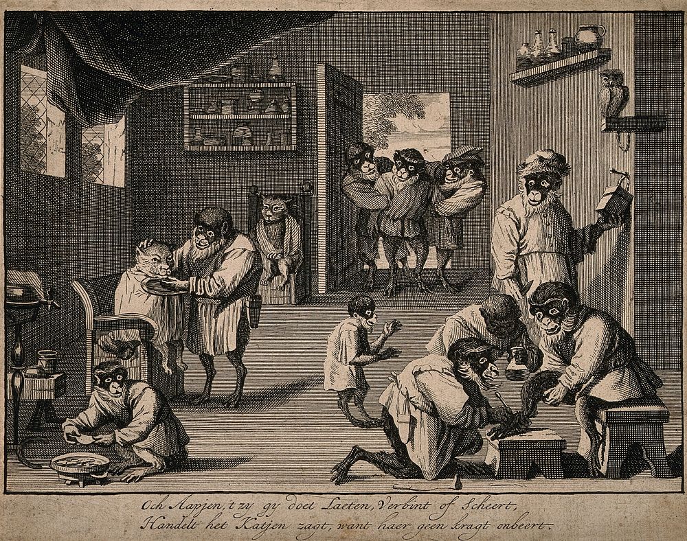 A barber-surgeon's house, where monkeys shave cats and let blood. Line engraving, c. 1660, after D. Teniers II.