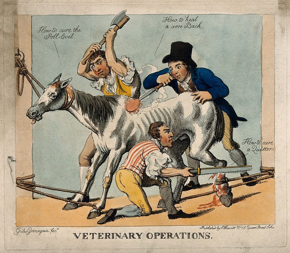 Three veterinary surgeons attempting to cure a horse of various ailments, using dubious and violent means. Coloured etching…
