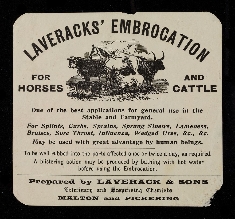Laverack's embrocation : for horses and cattle : one of the best applications for general use in the stable and farmyard :…