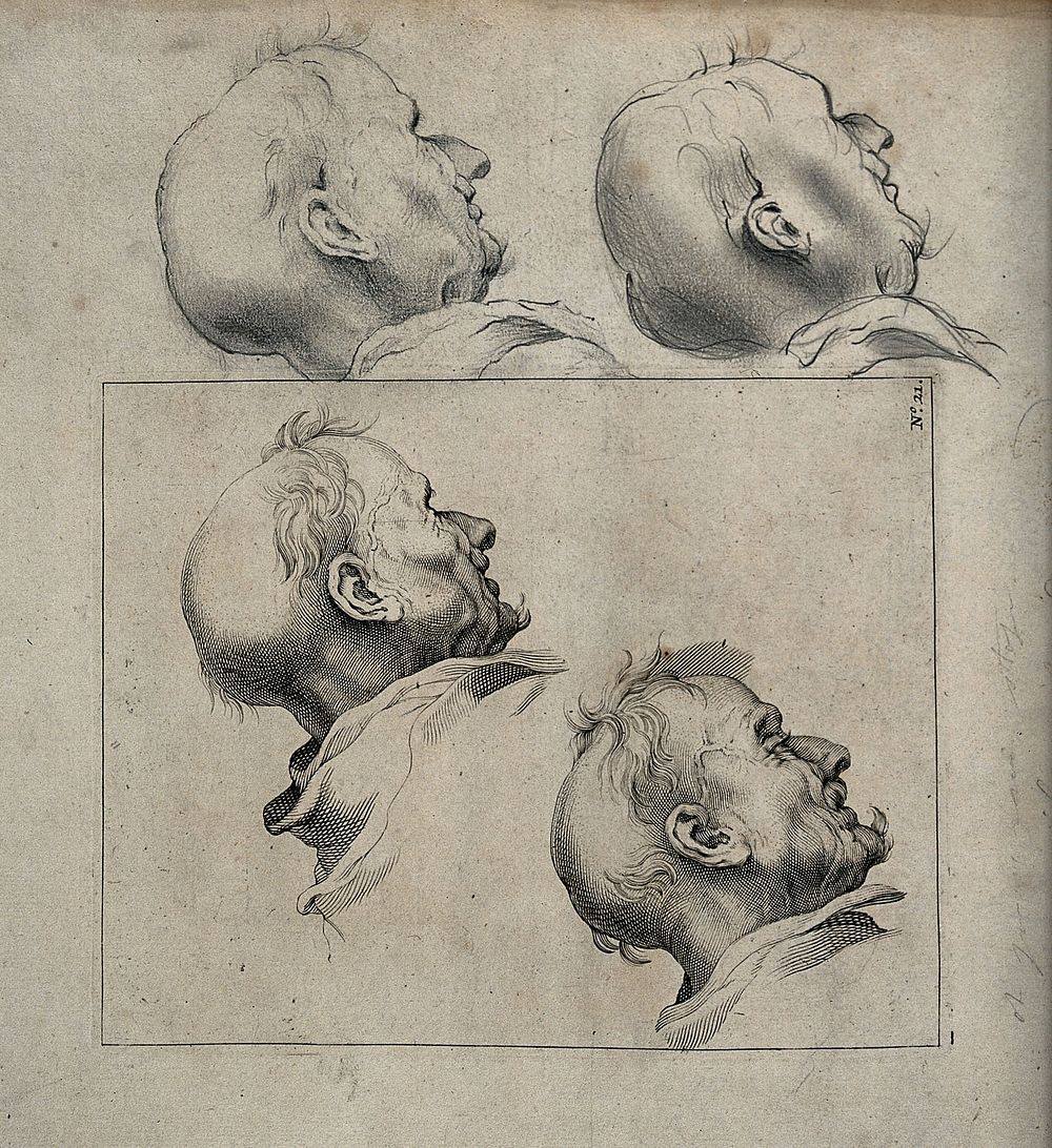 The head of an elderly man as seen from the right; repeated four times. Engraving and pencil drawing.