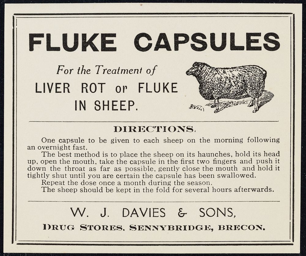 Fluke capsules : for the treatment of liver rot or fluke in sheep : directions... / W.J. Davies & Sons.
