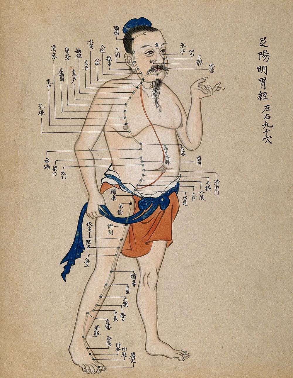 Acupuncture chart with a series of points indicated on the figure of a standing Chinese man. Watercolour.