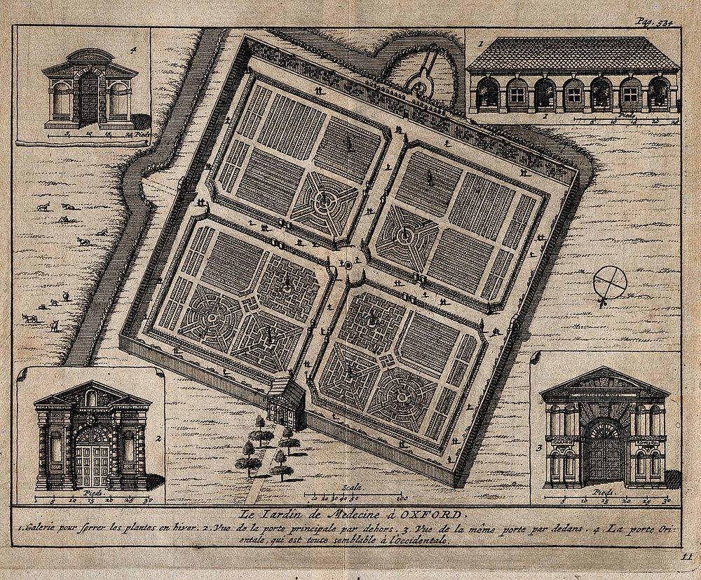 Botanic Gardens, Oxford: plan of the gardens with details of the gateway and greenhouses. Etching, 1707, after D. Loggan.