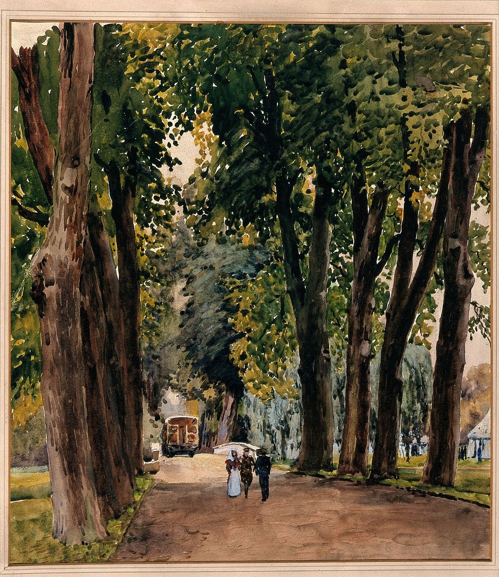 World War I: Trinity College Cambridge, the Lime Walk, during occupation by the 1st Eastern General Hospital. Watercolour by…