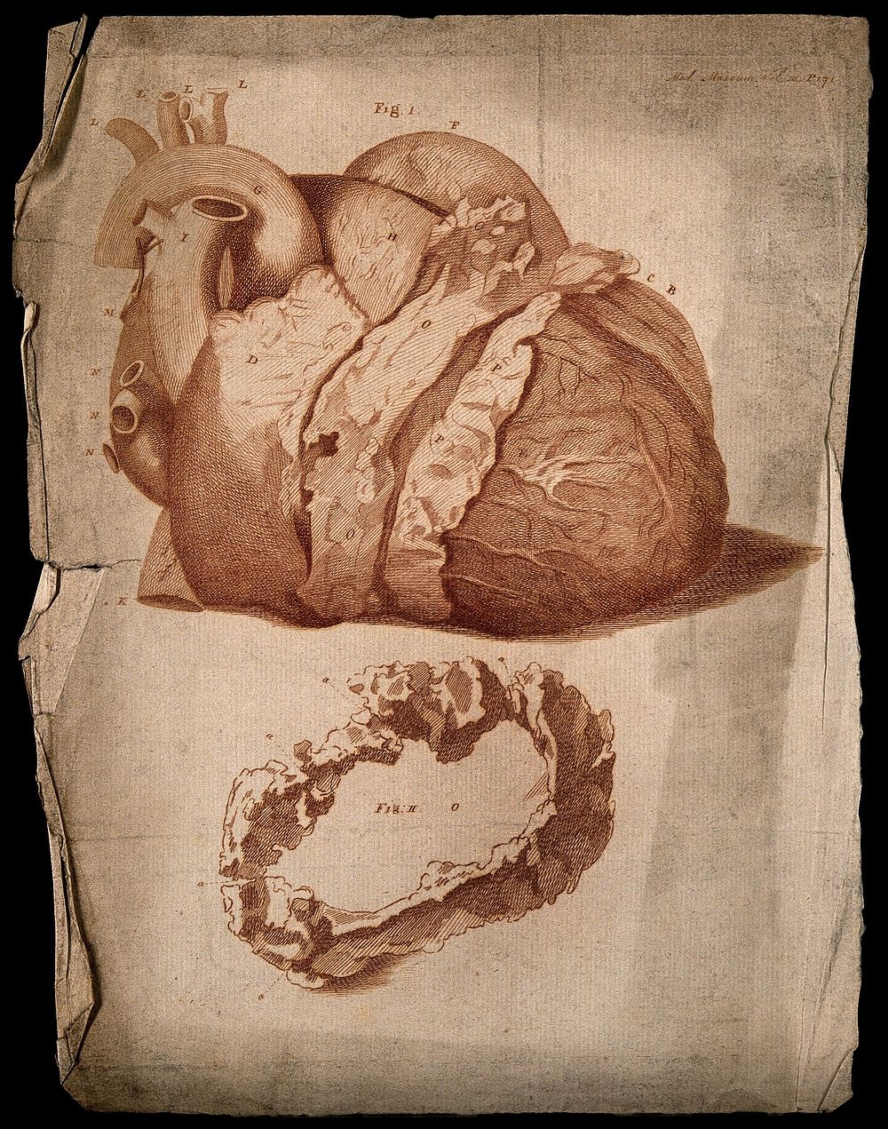Semi-dissected heart, lettered for key. Etching, c.1760.