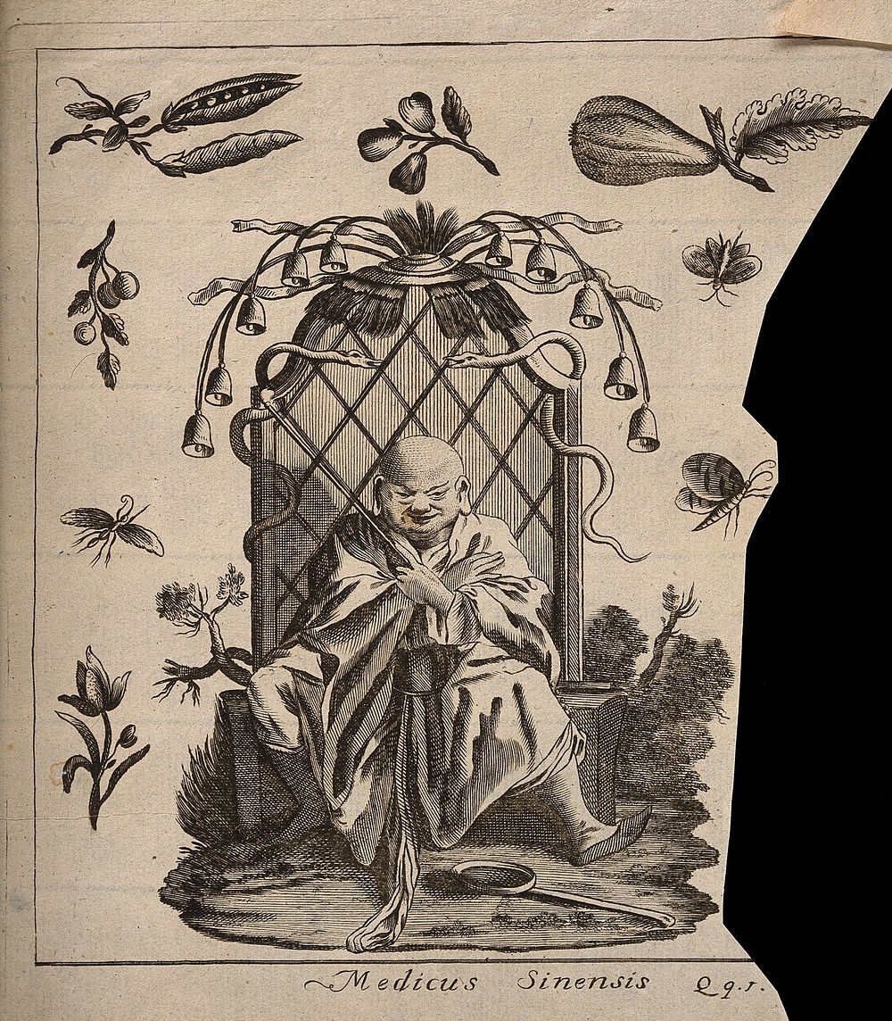 A Chinese physician sitting on a throne  surrounded by fruits, flowers and insects. Engraving.