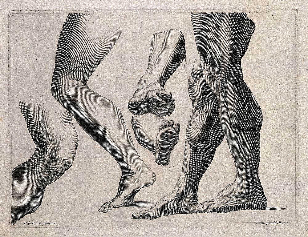 Legs in various attitudes. Engraving after C. Le Brun.
