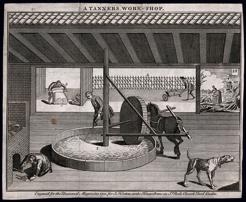 A tannery: interior view, a horse drawn wheel and a furnace with various tools of the trade. Engraving.