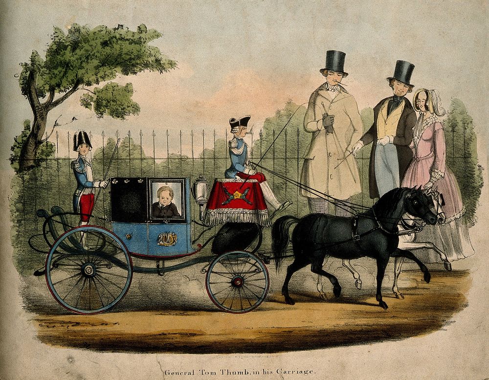 Charles S. Stratton, a dwarf known as General Tom Thumb, in his carriage. Lithograph.