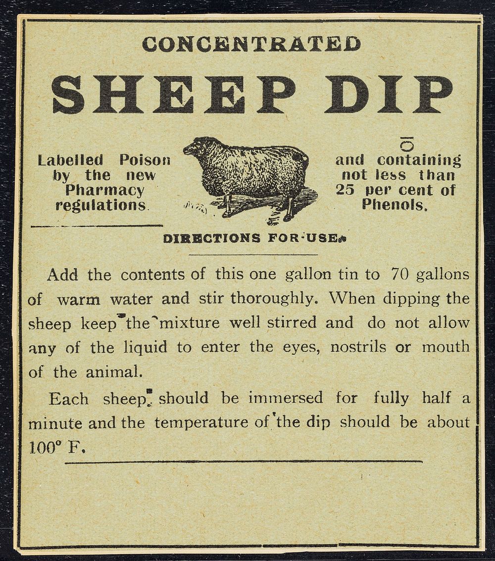 Concentrated sheep dip : labelled poison by the new pharmacy regulations and containing not less than 25 per cent of phenols…