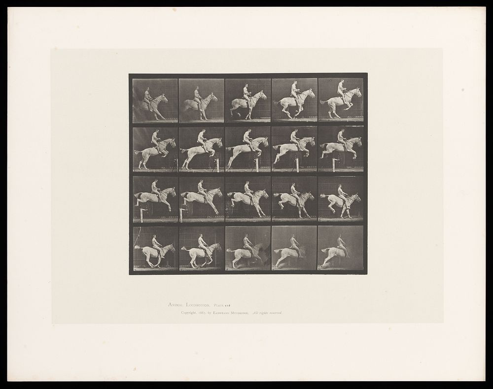 A horse jumping a hurdle. Collotype after Eadweard Muybridge, 1887.