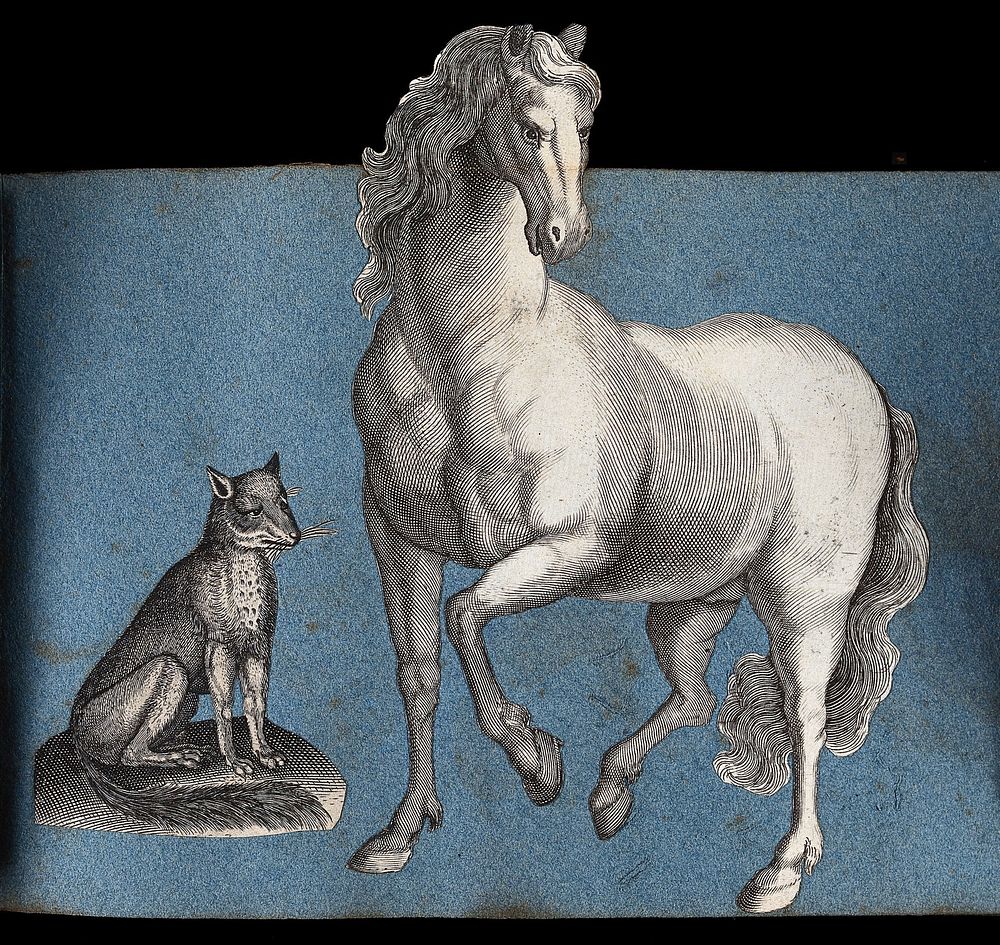 A fox and a horse. Cut-out engravings pasted onto paper, 16--.