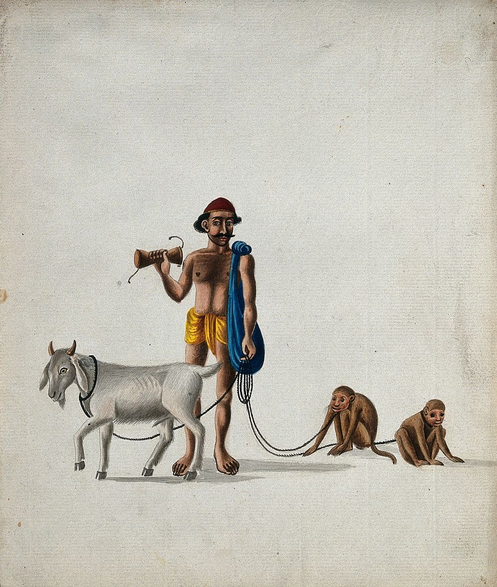 A street entertainer with his performing monkeys and goat. Gouache painting by an Indian artist.