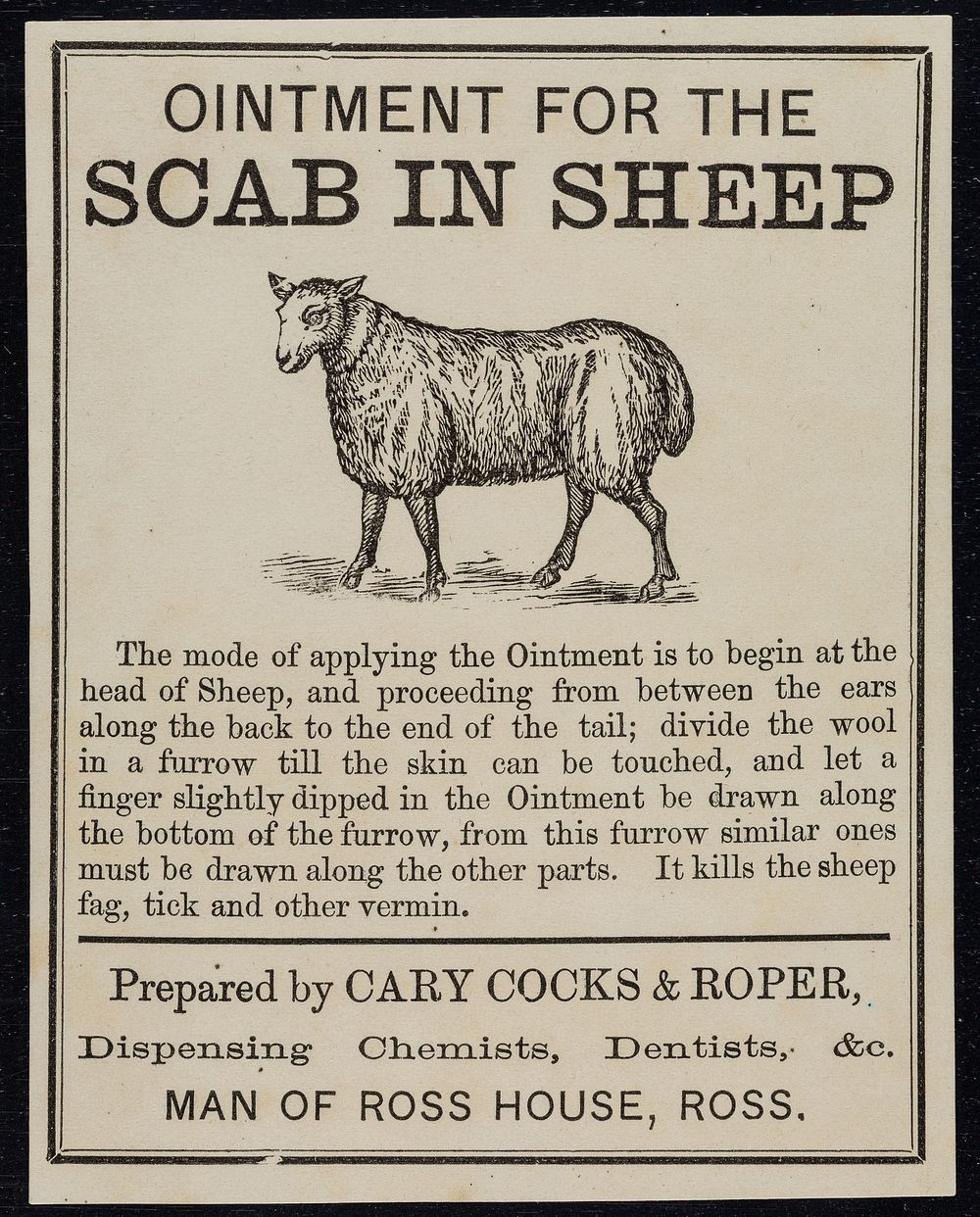 Ointment for the scab in sheep / prepared by Cary Cocks and Roper.