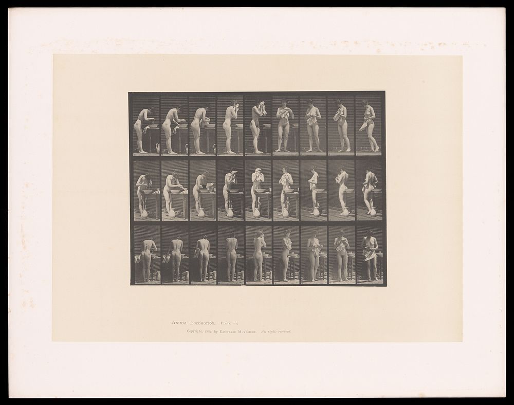 A naked woman washes and dries her face then turns. Collotype after Eadweard Muybridge, 1887.