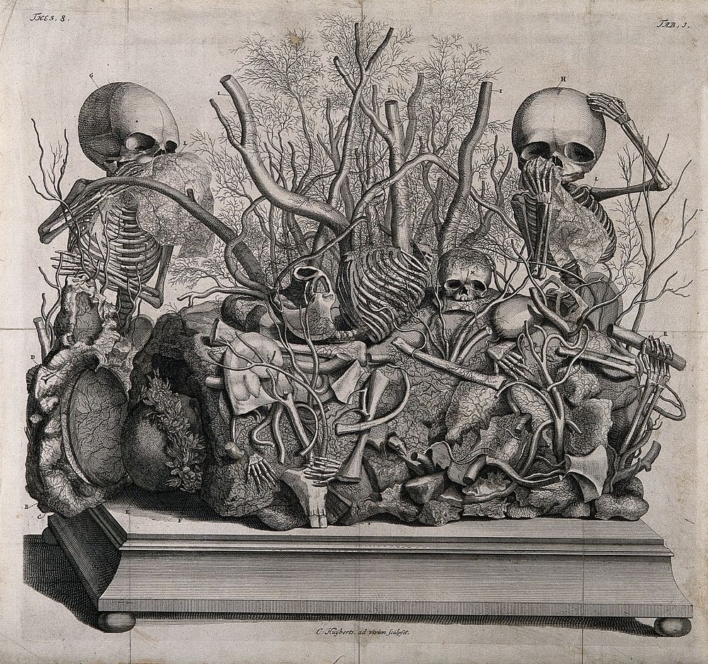 Human foetuses in the museum of Frederik Ruysch. Engraving by C. Huyberts, ca. 1709.
