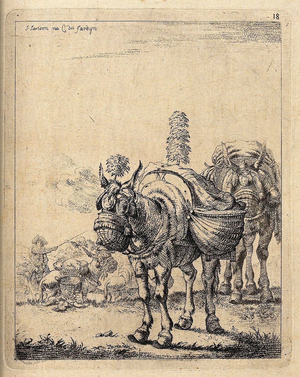 A procession of travelling donkeys with saddle-bags and nose-bags. Lithograph after J. Janson, the elder.