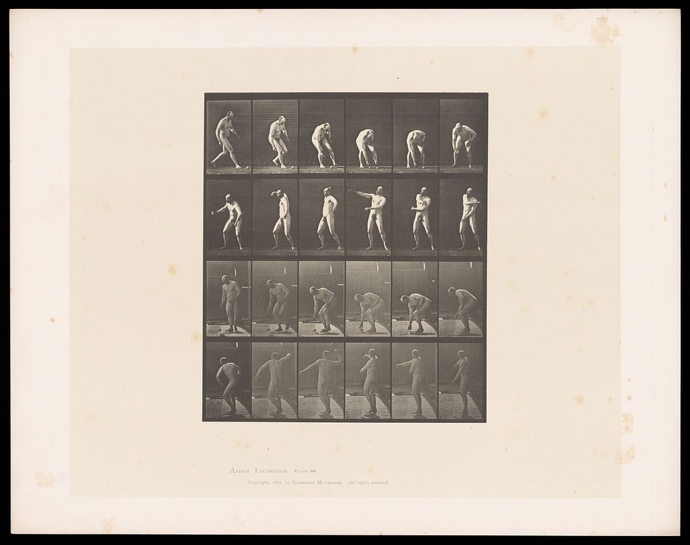 A naked man walks up to a ball, picks it up, turns, then throws it with his right hand. Collotype after Eadweard Muybridge…