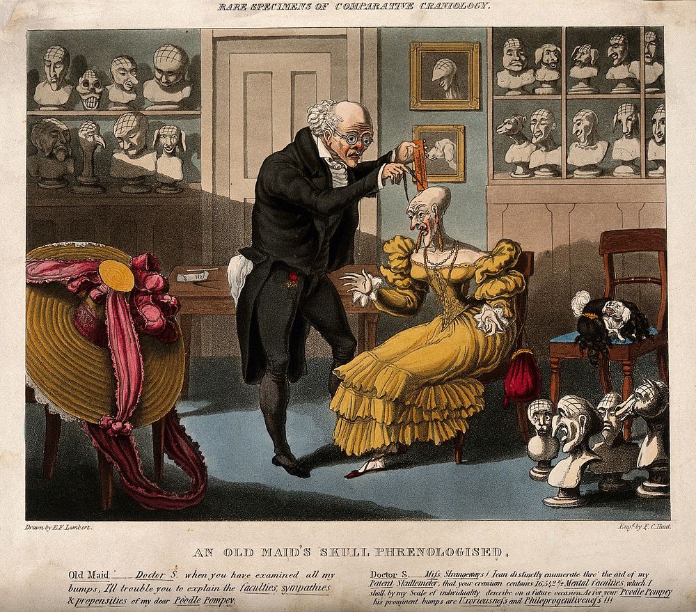 Franz Joseph Gall measuring the head of a bald, elegantly dressed old lady; her pet poodle is entwined in her wig on a…