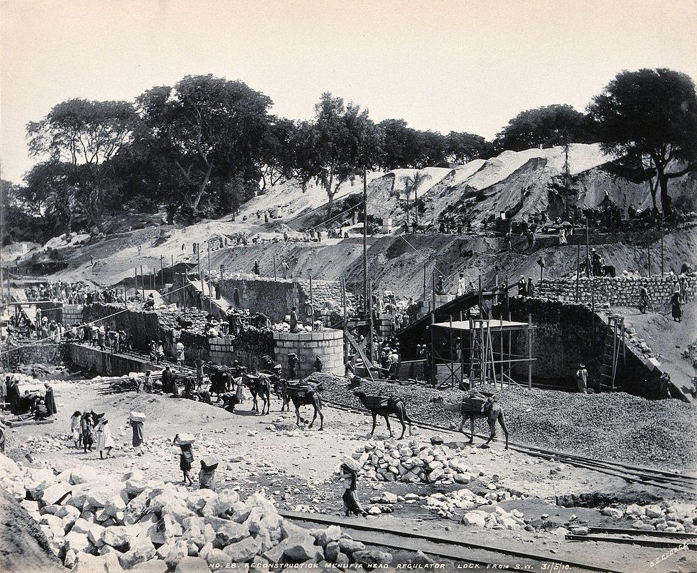 Menufia Canal, Egypt: reconstruction work to the first Aswan Dam: men at work and camels transporting materials. Photograph…