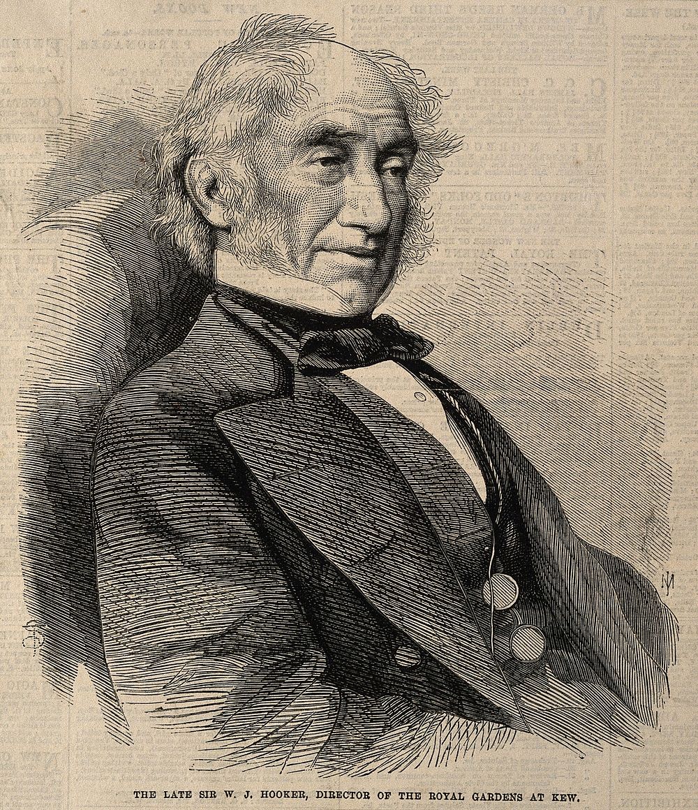 Sir William Jackson Hooker. Wood engraving by J. Mahoney, 1865, after T.D. Scott.