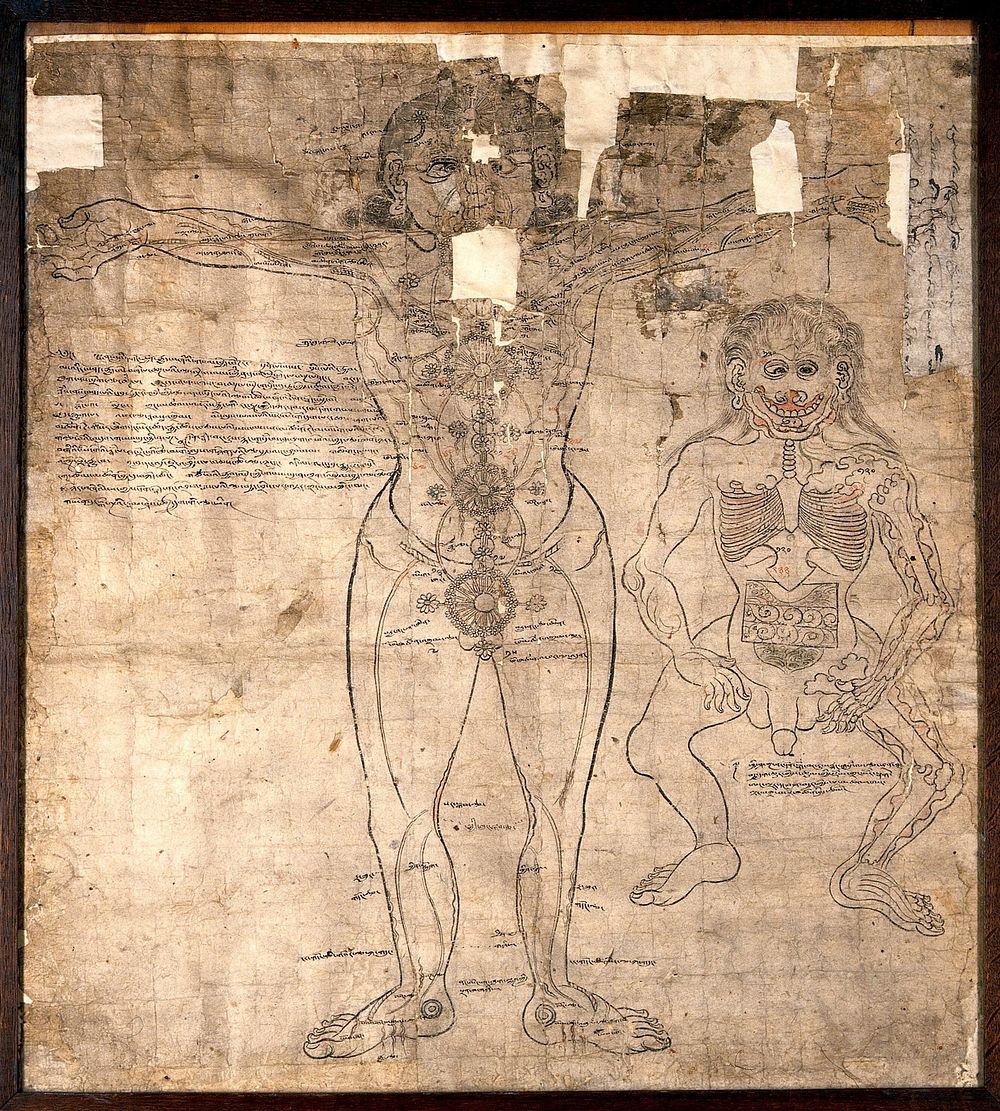 Anatomical figures. Ink.