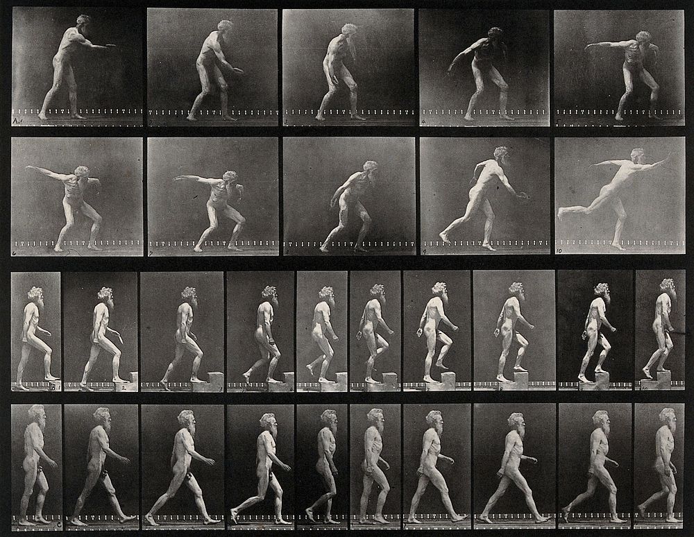 E. Muybridge throwing a disc, ascending stairs, and walking. Collotype after Eadweard Muybridge, 1887.