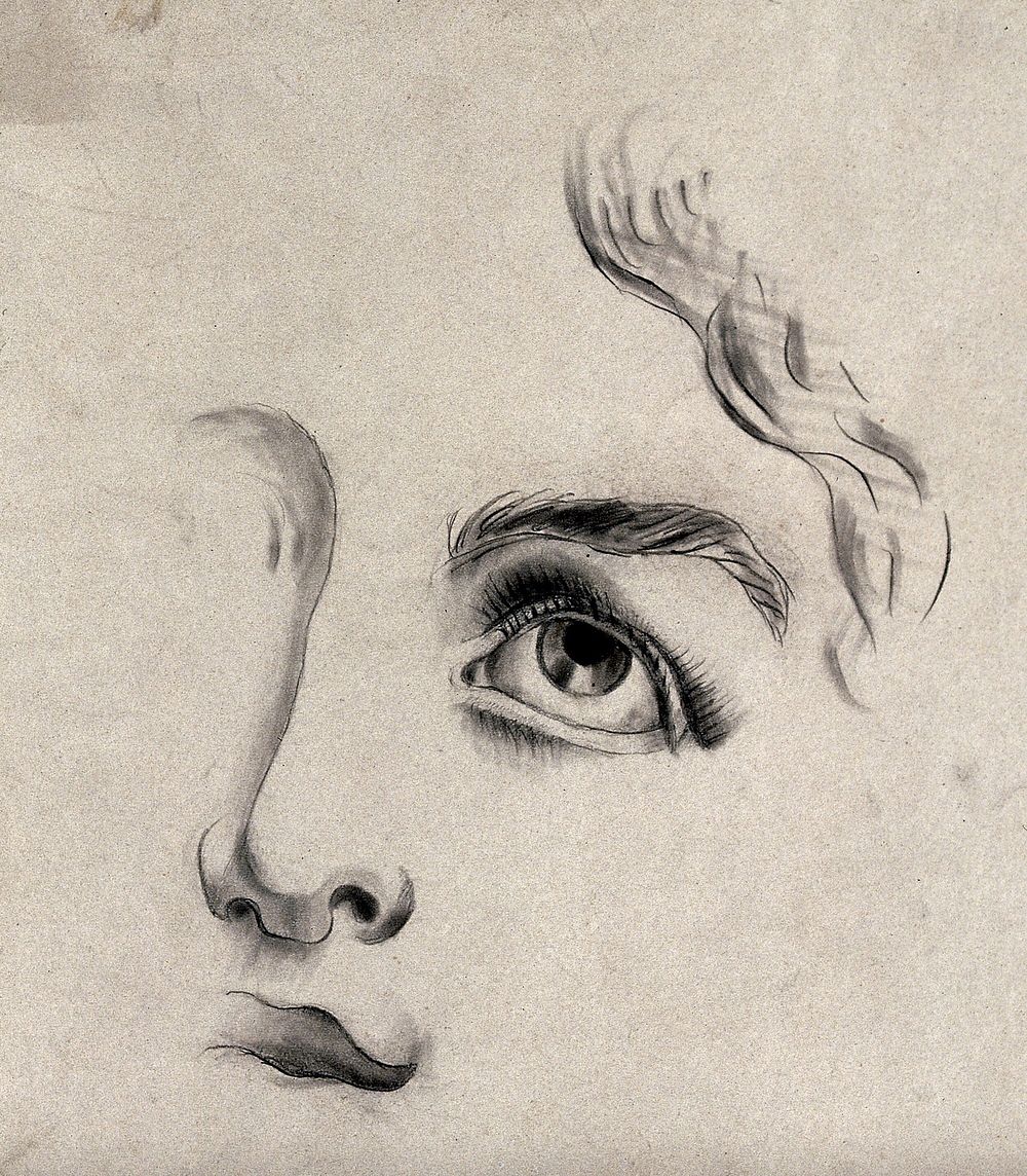 A fragmentary drawing of a face. Pencil drawing.