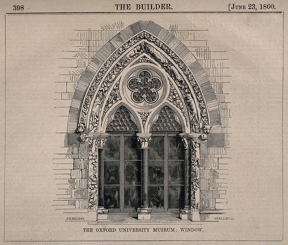 University Museum, Oxford: detail of the window. Wood engraving by J.M. Williams, 1860, after A.M. Williams.