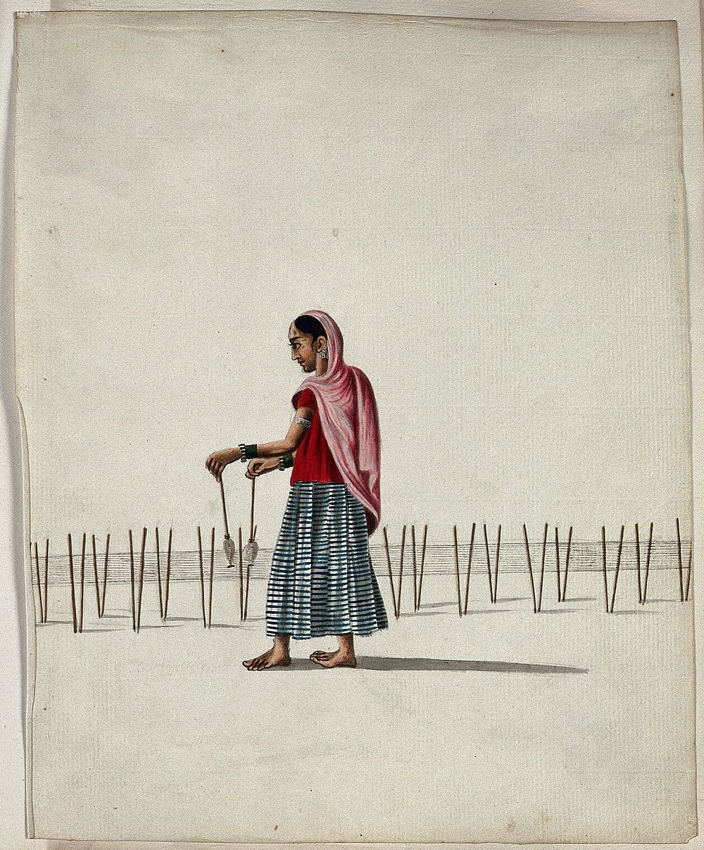 A woman winding thread onto spindles . Gouache painting by an Indian artist.