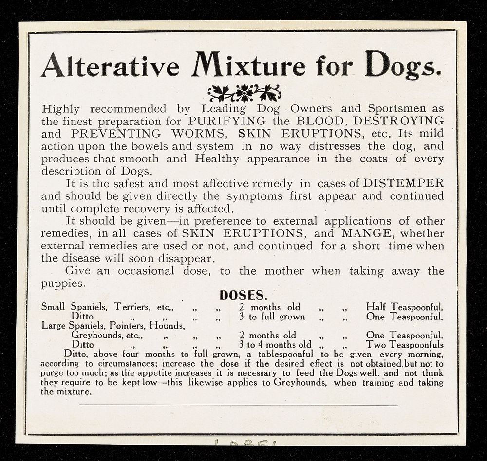Alterative mixture for dogs : highly recommended by leading dog owners and sportsmen as the finest preparation for purifying…