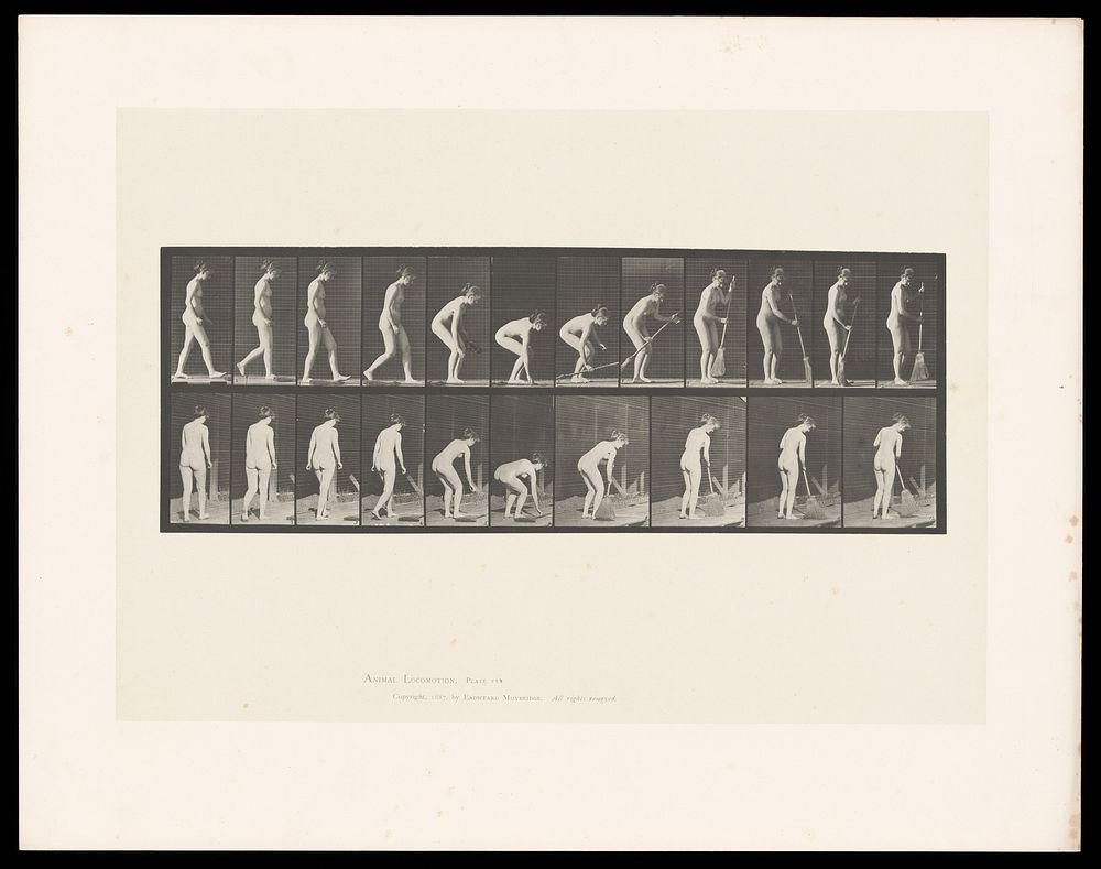 A woman picks up a broom off the ground and sweeps. Collotype after Eadweard Muybridge, 1887.