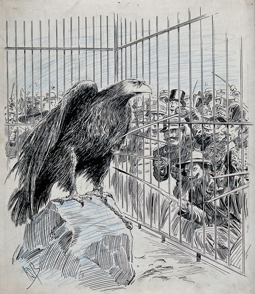 The Dreyfus case: an eagle wearing eyeglasses, representing Alfred Dreyfus, is imprisoned in a cage; men are poking him with…
