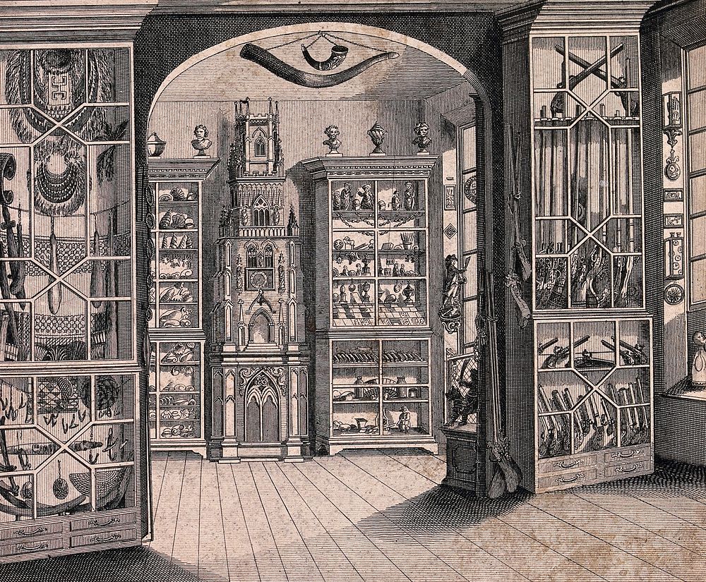 Richard Greene's museum at Lichfield, the "Lichfield clock" standing among cabinets of curiosities. Engraving by Cook.