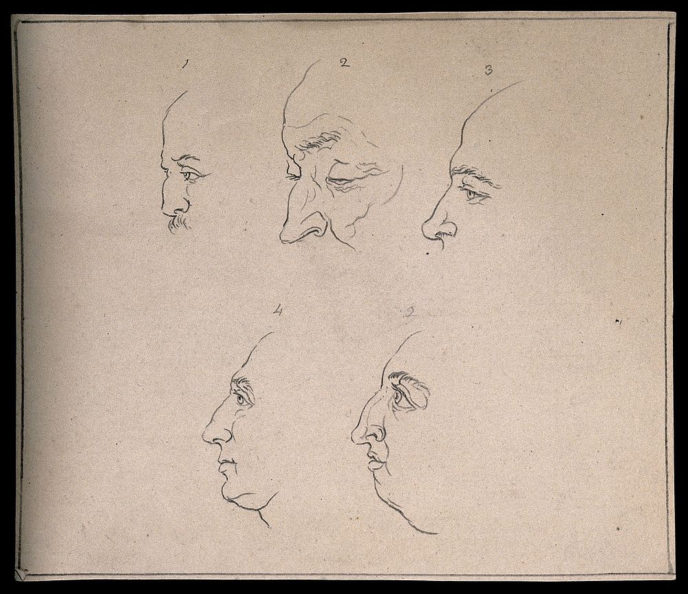 Five profiles exhibited for their noses. Drawing, c. 1794.