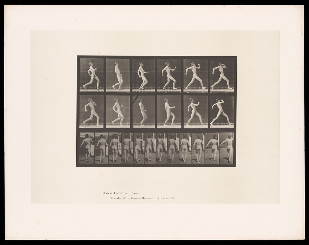 A man running. Collotype after Eadweard Muybridge, 1887.