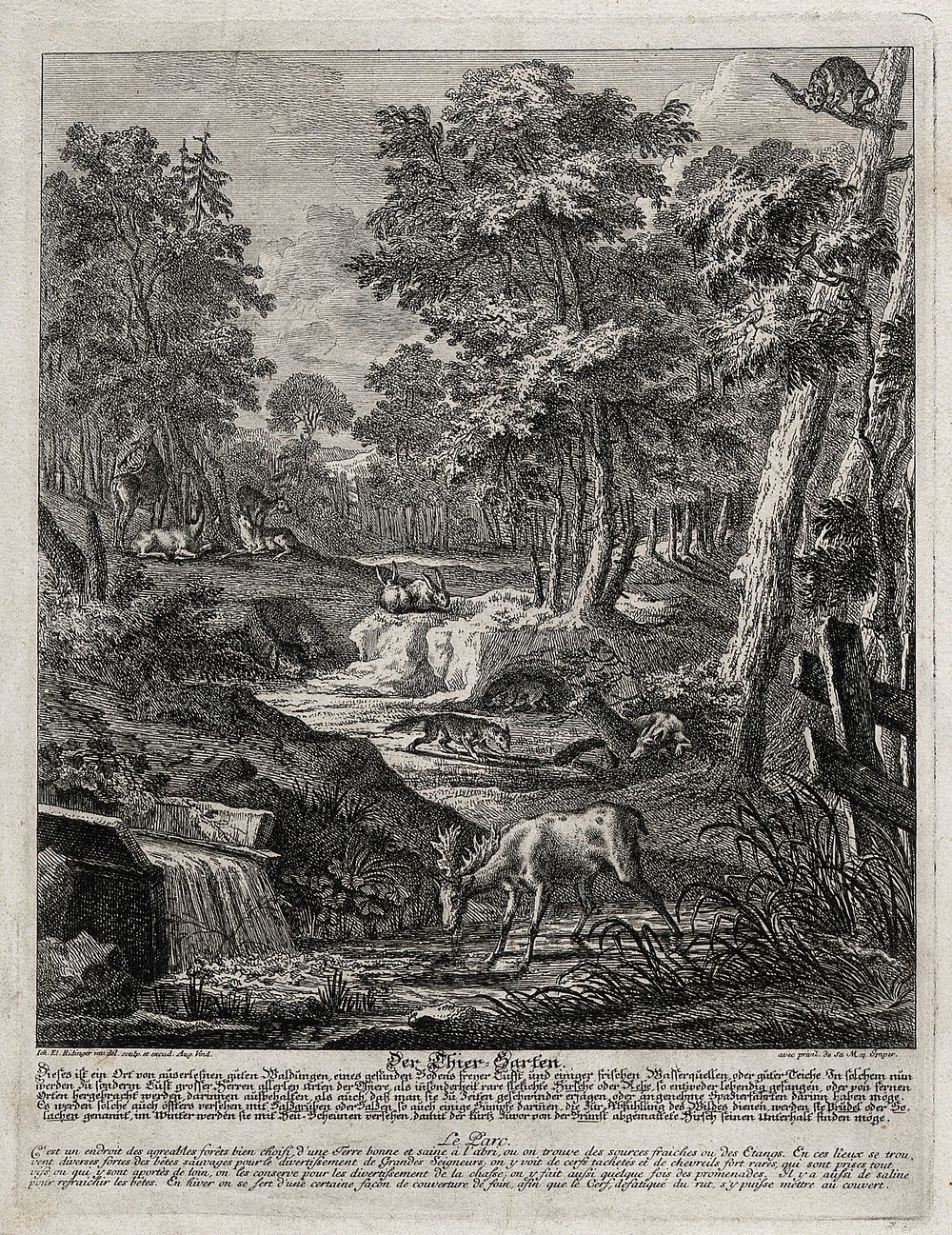 A menagerie with a stag at a watering place and foxes, hares, deer and a wild boar in the background. Etching by J.E.…