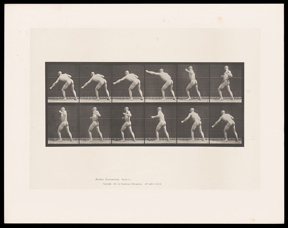 A naked man throws a punch with his left hand, lowers his arm, brings it back behind him, turning as he does so. Collotype…