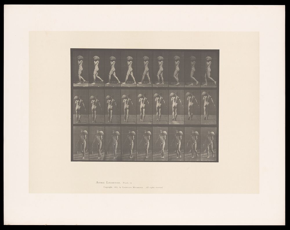 A man walking wearing a pouch and carrying a heavy rock. Collotype after Eadweard Muybridge, 1887.