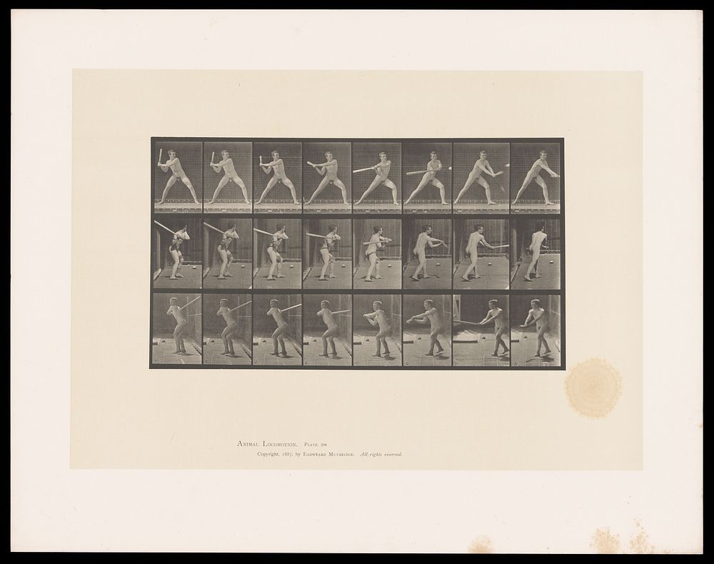 A naked man stands, legs well apart, his body turning as he swings a baseball bat to hit a ball. Collotype after Eadweard…