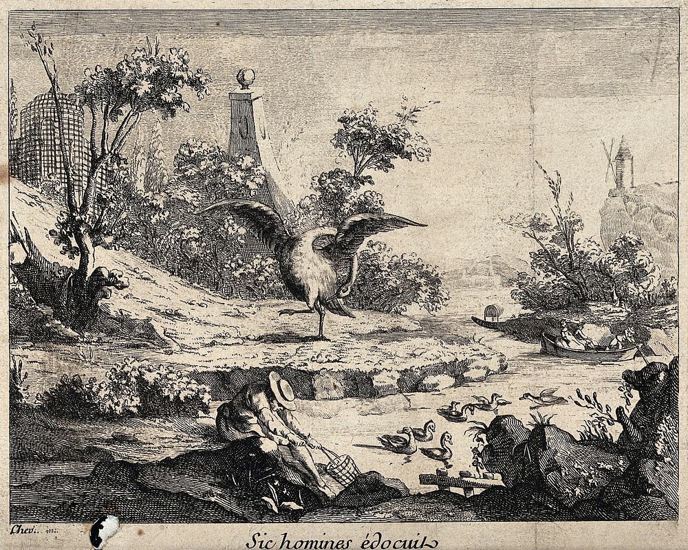 A swan cleaning itself as an example to man. Engraving after Chev'..