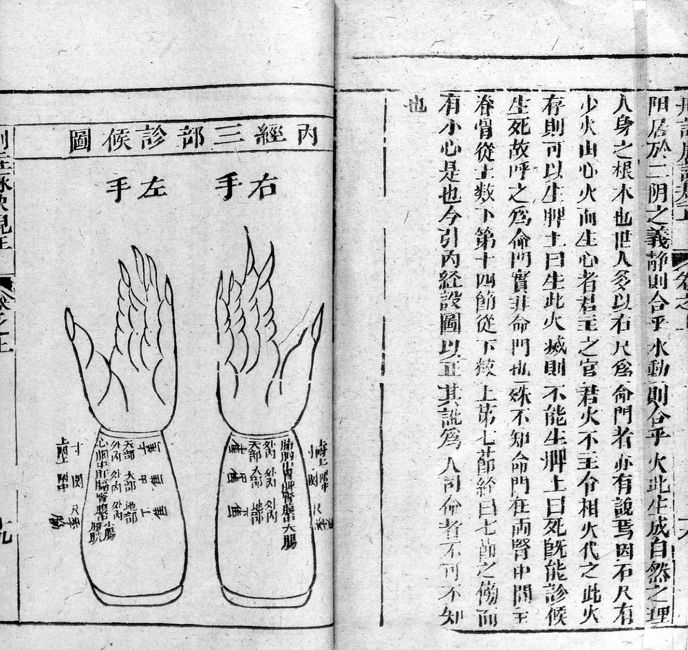 Chinese pulse chart, 17th century.