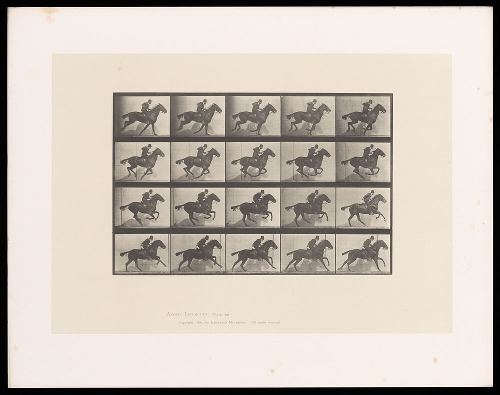 A clothed man riding a saddled horse. Collotype after Eadweard Muybridge, 1887.